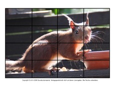 Puzzle-Eichhörnchen-10.pdf